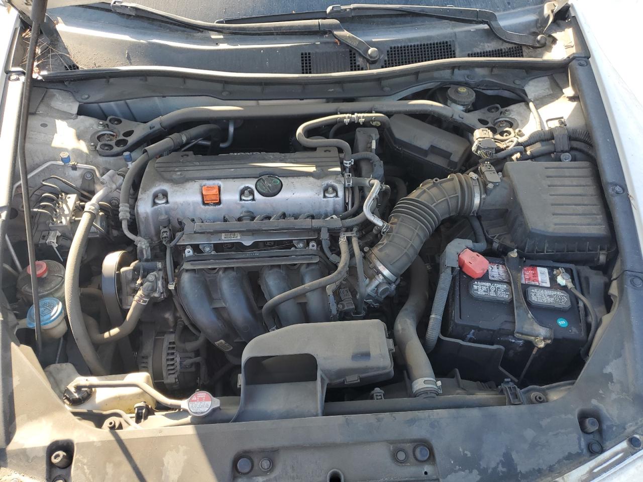 2010 Honda Accord Lx VIN: 1HGCS1B38AA008381 Lot: 81086905