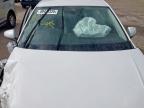 2024 VOLKSWAGEN POLO LIFE TSI S-A  for sale at Copart SANDWICH