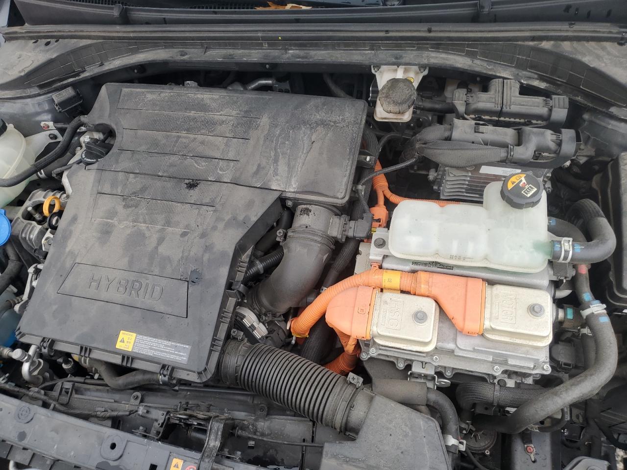 2019 Hyundai Ioniq Limited VIN: KMHC05LC1KU136869 Lot: 81758765