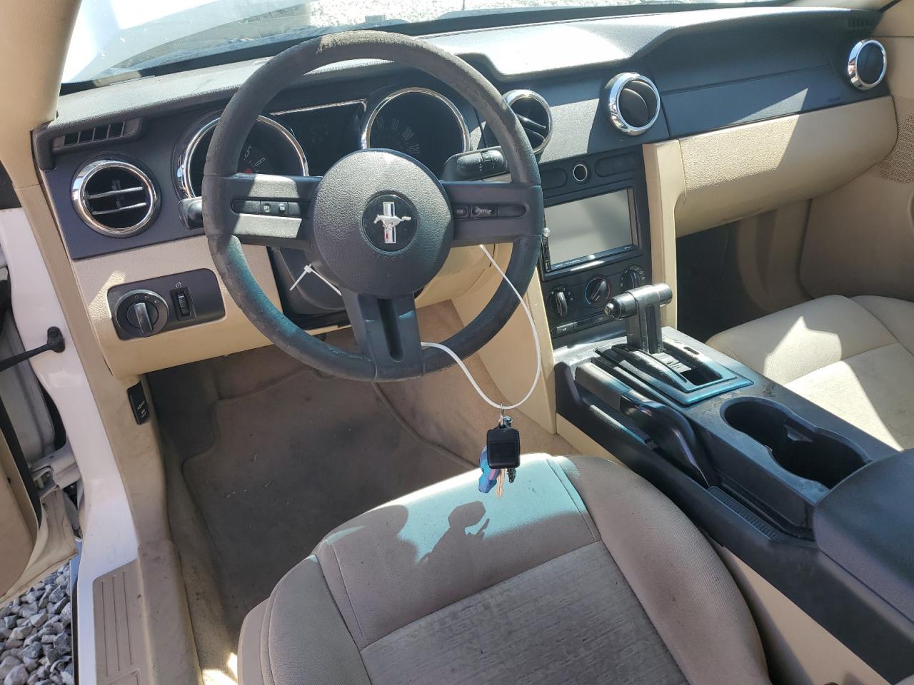 2006 Ford Mustang VIN: 1ZVFT80N665246894 Lot: 80672845