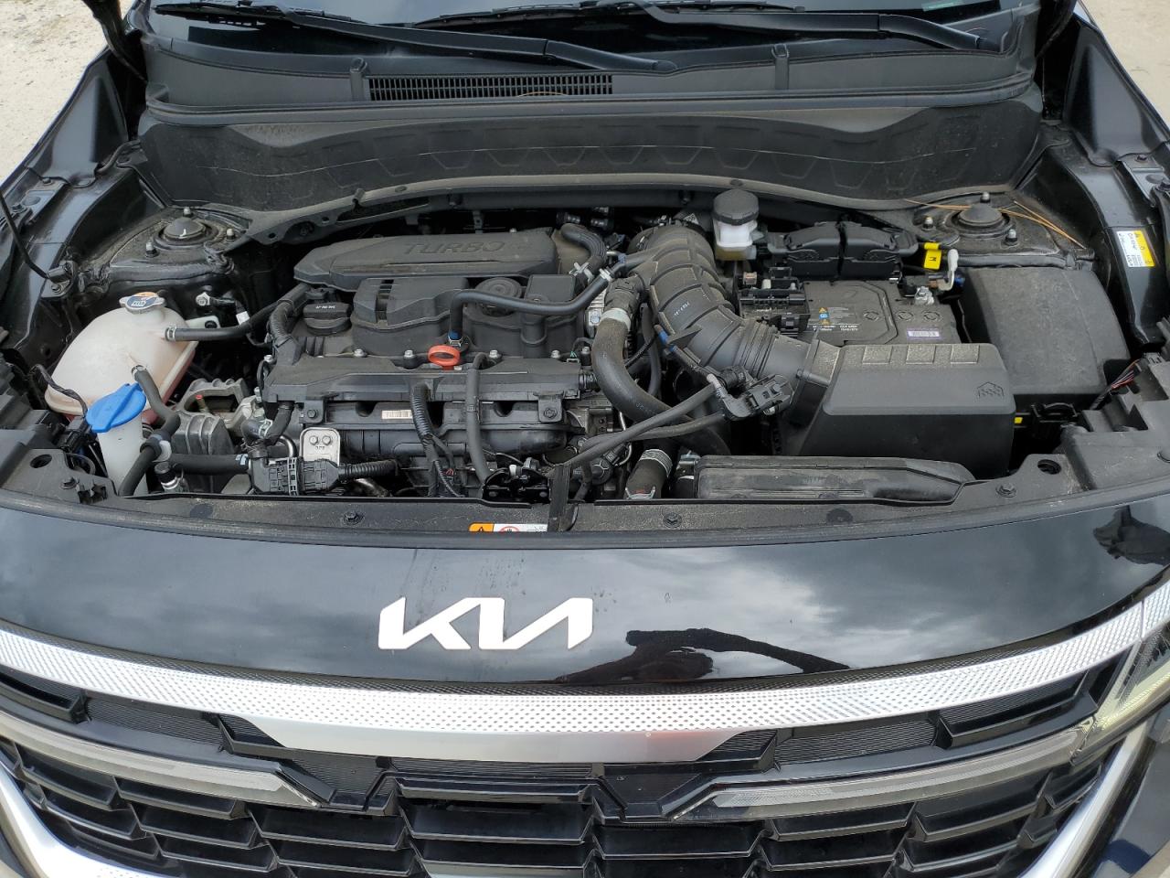 2024 Kia Seltos Sx VIN: KNDETCA75R7575466 Lot: 71590115