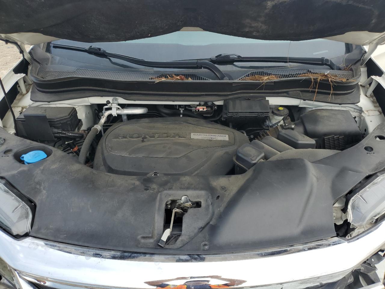 2019 Honda Pilot Exl VIN: 5FNYF6H56KB071910 Lot: 80306315