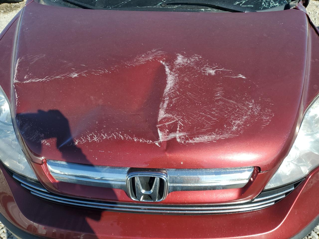 2009 Honda Cr-V Exl VIN: JHLRE48739C021313 Lot: 81866275