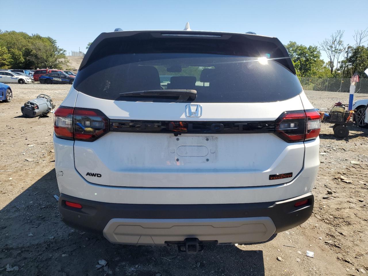2023 Honda Pilot Trailsport VIN: 5FNYG1H68PB048872 Lot: 71953785