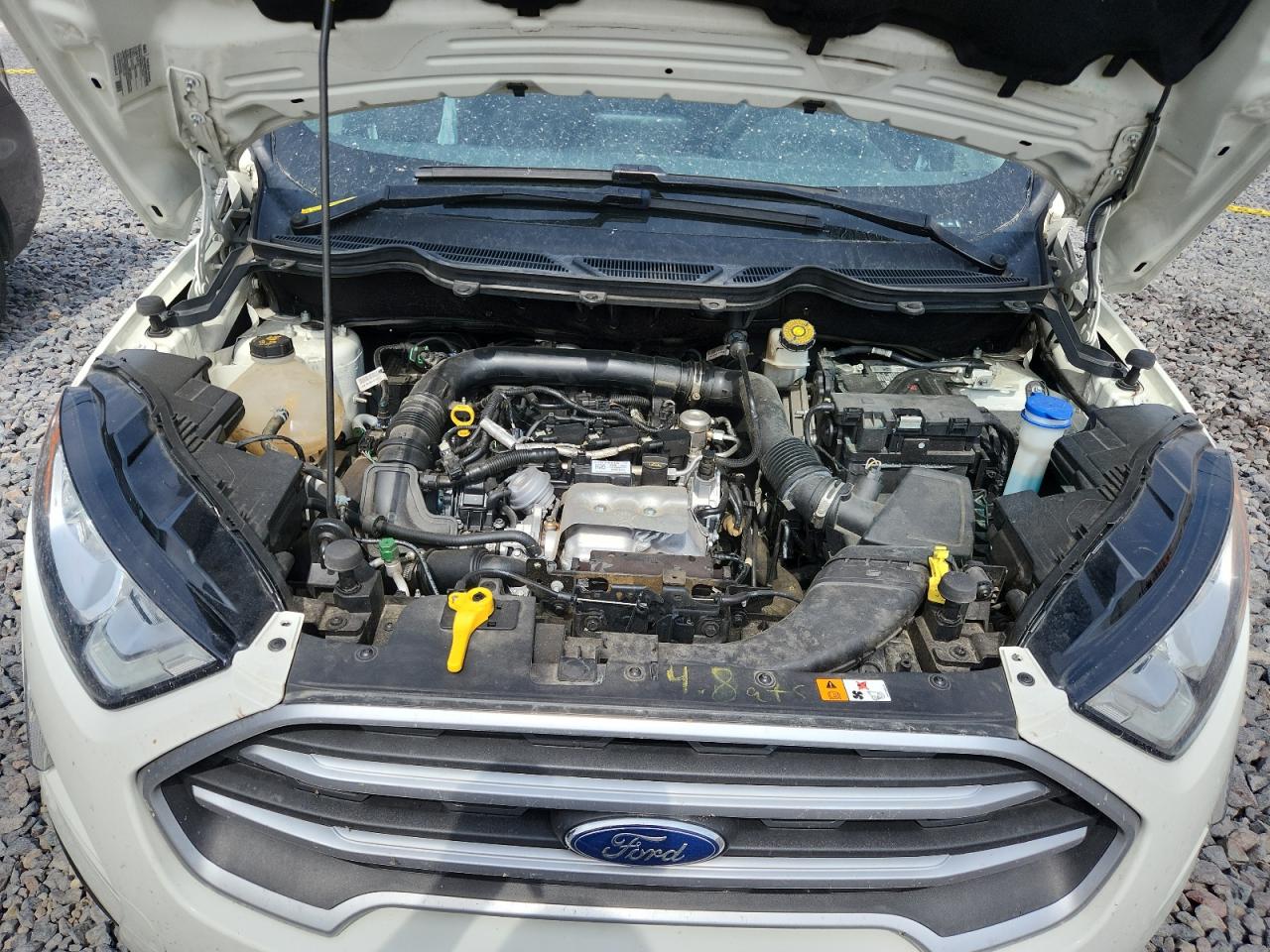 2019 Ford Ecosport Se VIN: MAJ3S2GE8KC283792 Lot: 81418865