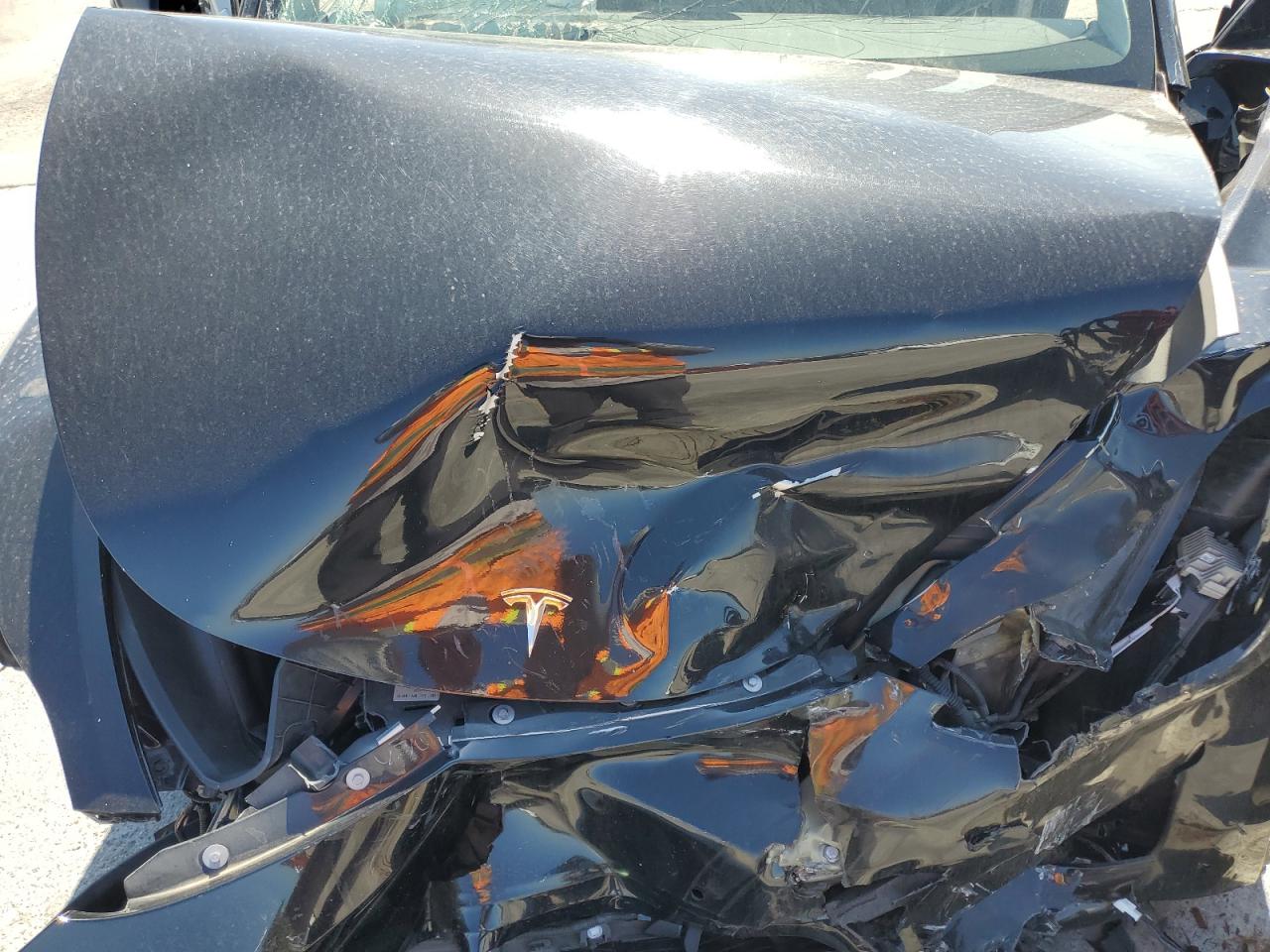 2022 Tesla Model Y VIN: 7SAYGDEE7NF352529 Lot: 81513465