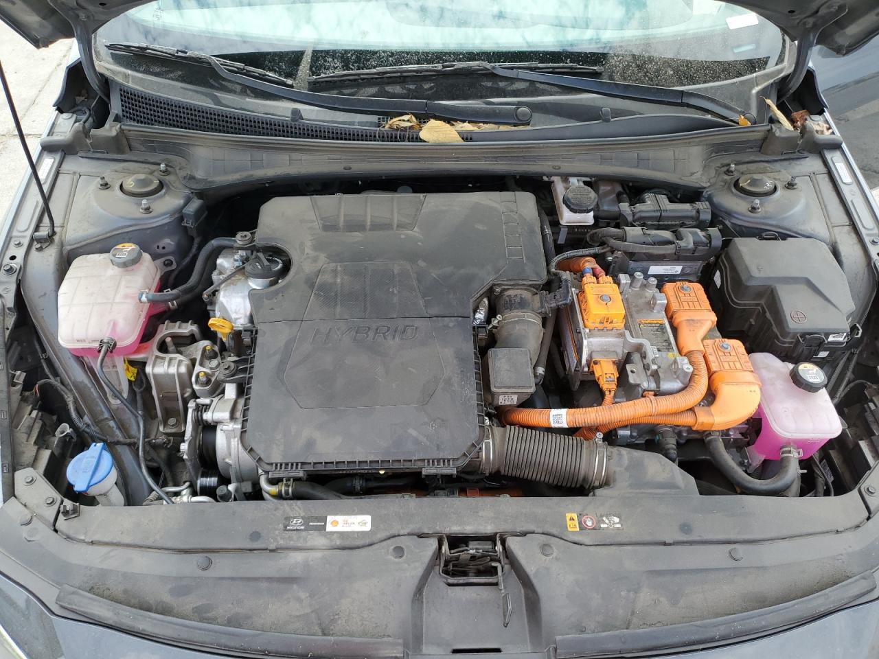 2023 Hyundai Elantra Blue VIN: KMHLM4AJ3PU086080 Lot: 81427885