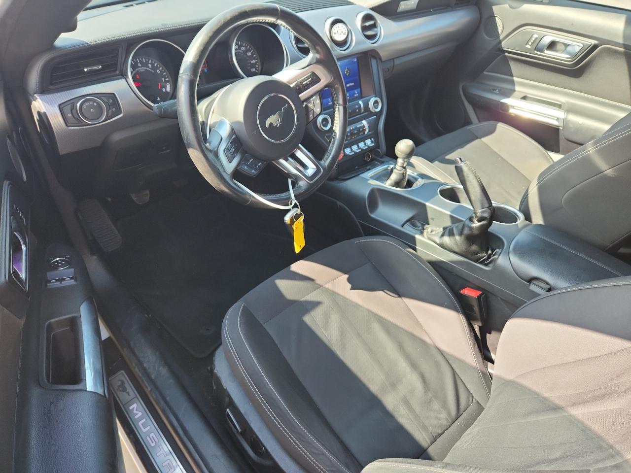 2019 Ford Mustang Gt VIN: 1FA6P8CF6K5116643 Lot: 83980215