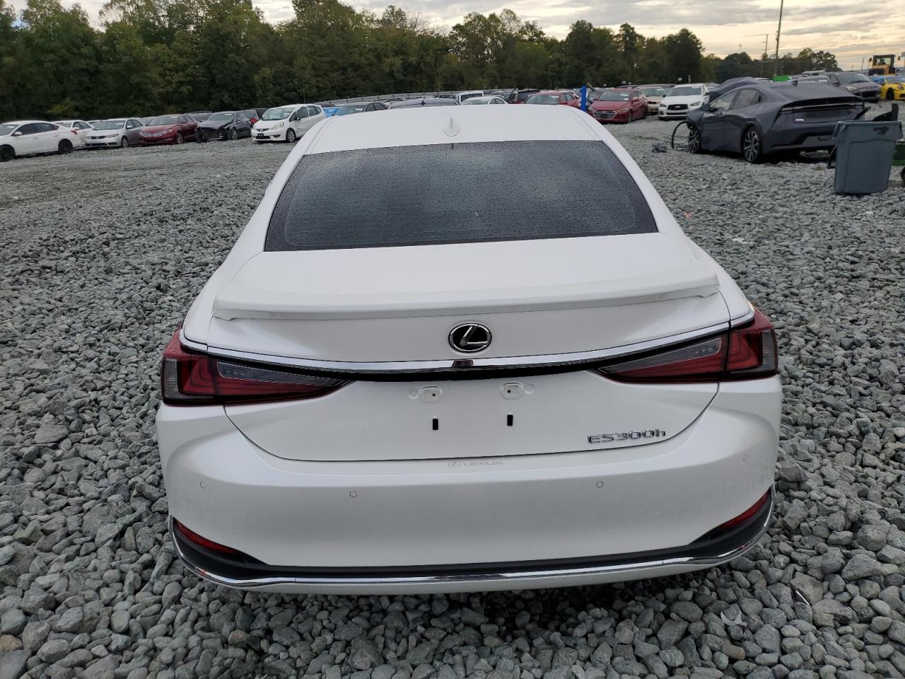 2025 Lexus Es 300H Base VIN: 58AFA1C15SU058204 Lot: 83872385