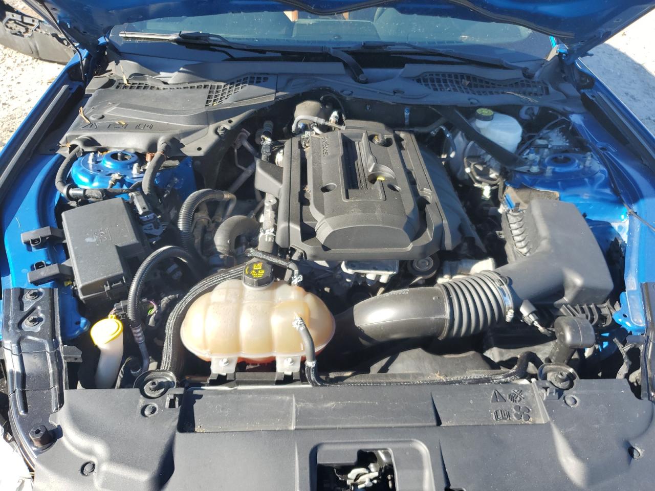 2019 Ford Mustang VIN: 1FATP8UH8K5142048 Lot: 81548825