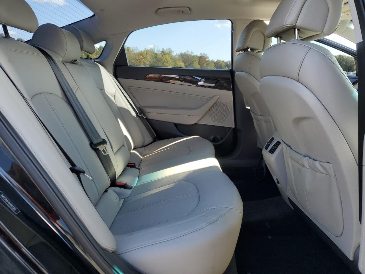 2017 Hyundai Sonata Sport VIN: 5NPE34AF7HH561365 Lot: 84050535