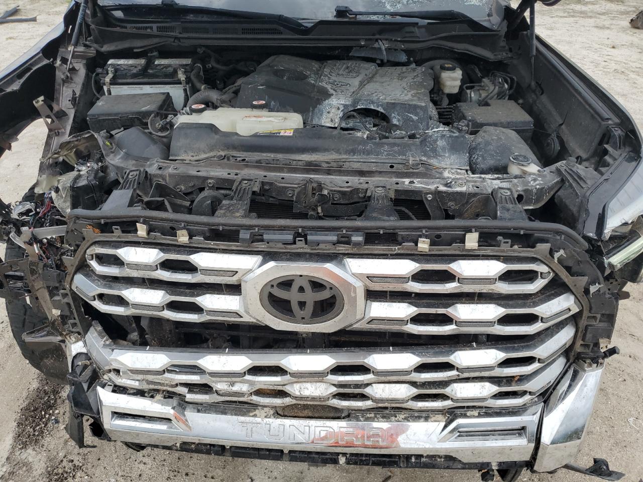 2022 Toyota Tundra Crewmax Platinum VIN: 5TFMA5DB4NX016515 Lot: 81124375