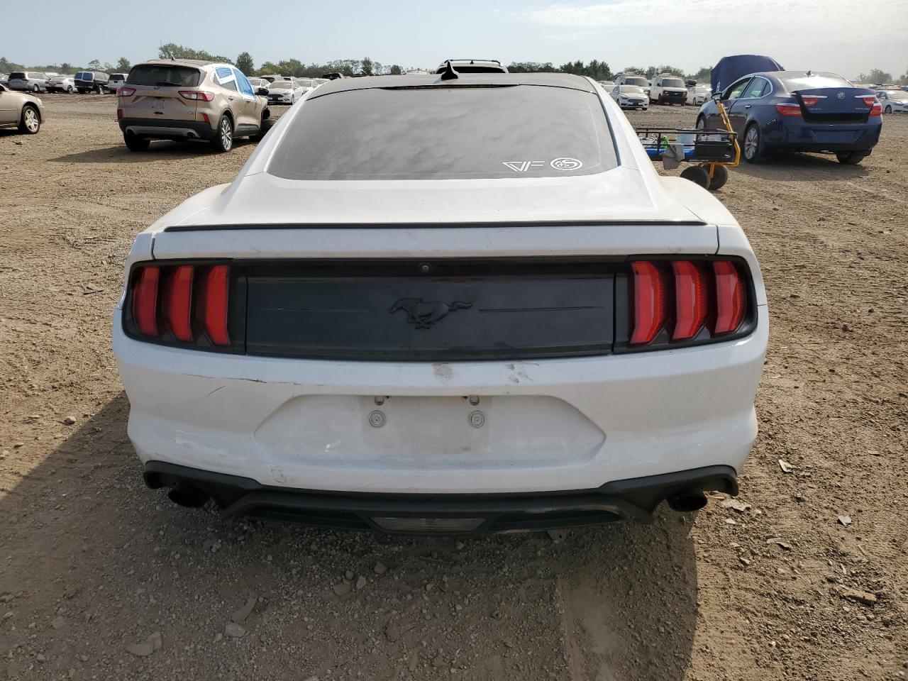 2021 Ford Mustang VIN: 1FA6P8TH6M5146438 Lot: 80247845