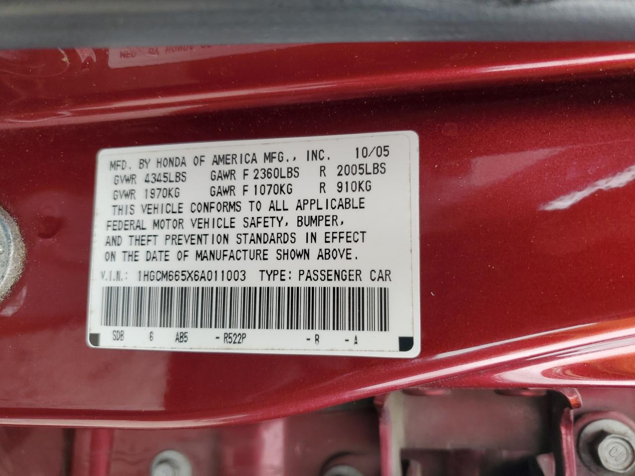 2006 Honda Accord Ex VIN: 1HGCM665X6A011003 Lot: 80178055