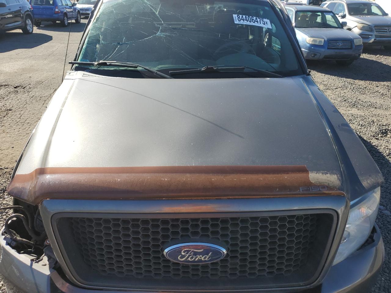 2005 Ford F150 VIN: 1FTPX145X5FA96259 Lot: 84406475