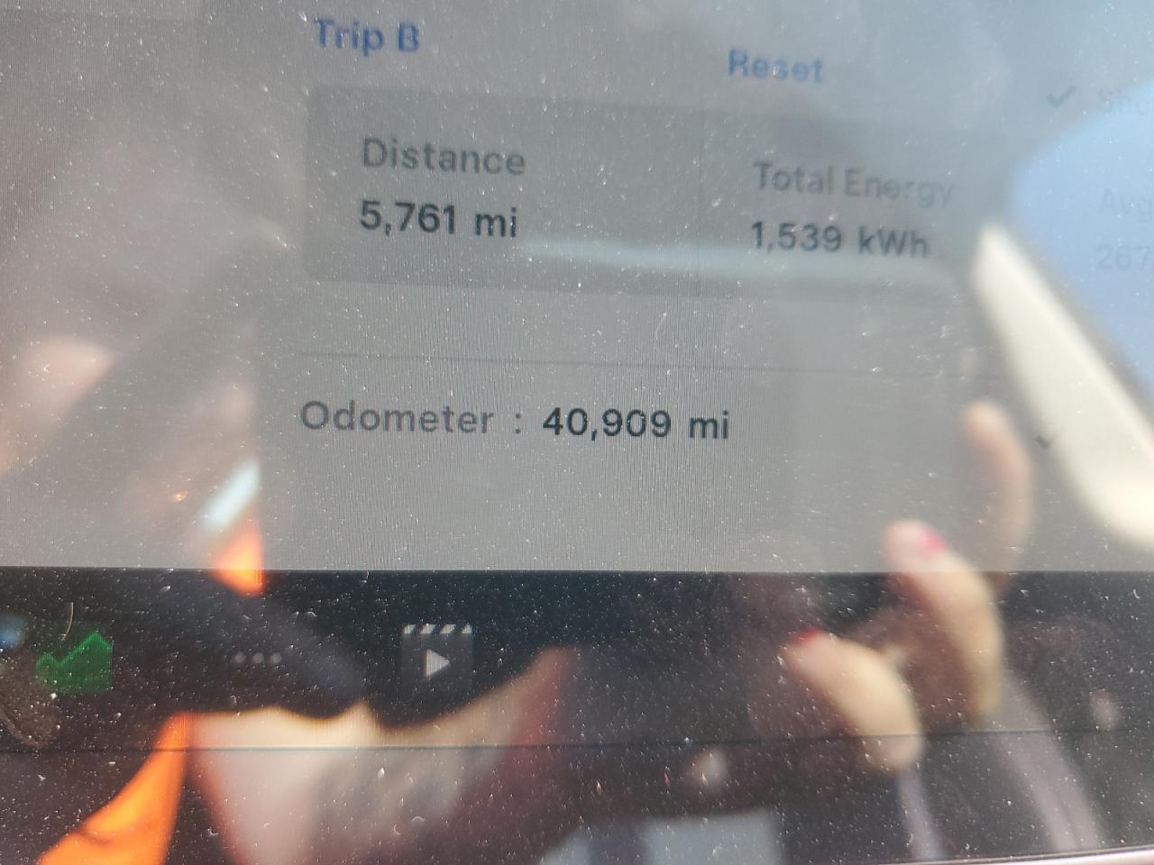 2022 Tesla Model Y VIN: 7SAYGDEF4NF534262 Lot: 81116955