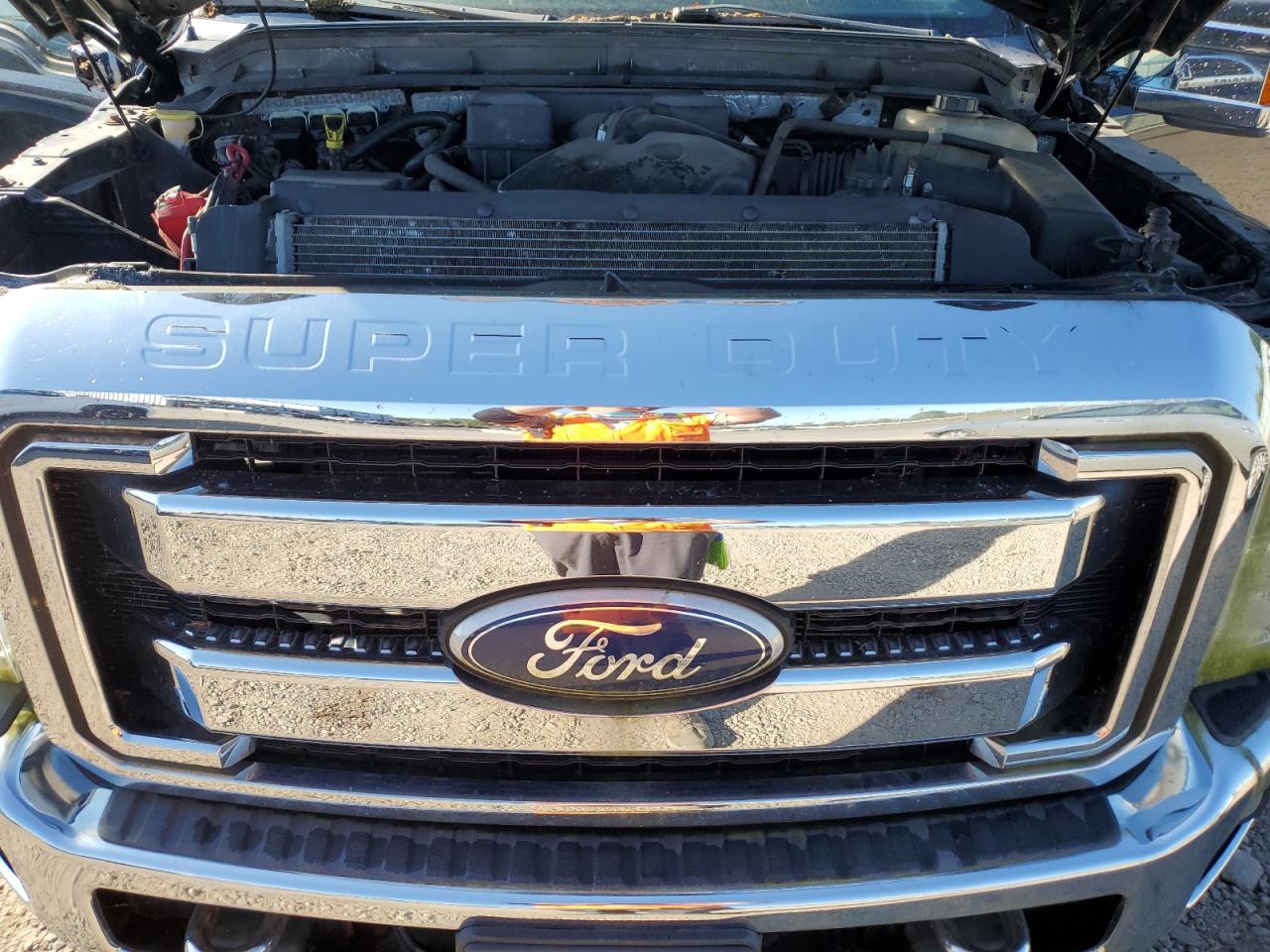 2011 Ford F250 Super Duty VIN: 1FT7W2B64BEB07309 Lot: 81134305