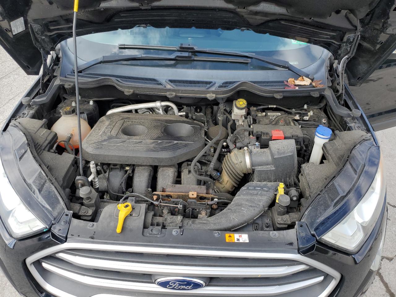 2019 Ford Ecosport Se VIN: MAJ6S3GL6KC281010 Lot: 84186545