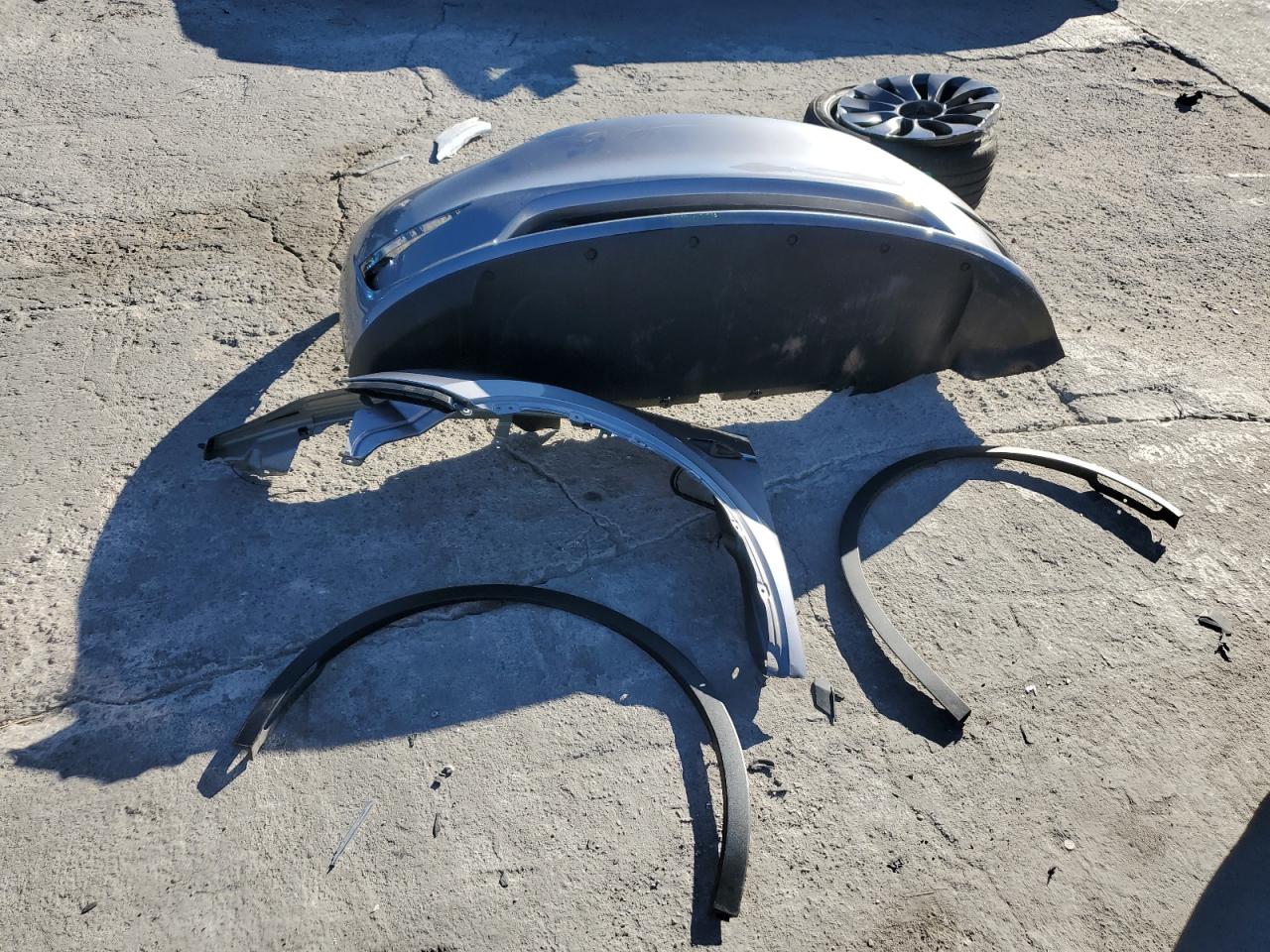 2024 Tesla Model Y VIN: 7SAYGDEF6RA308209 Lot: 71851535