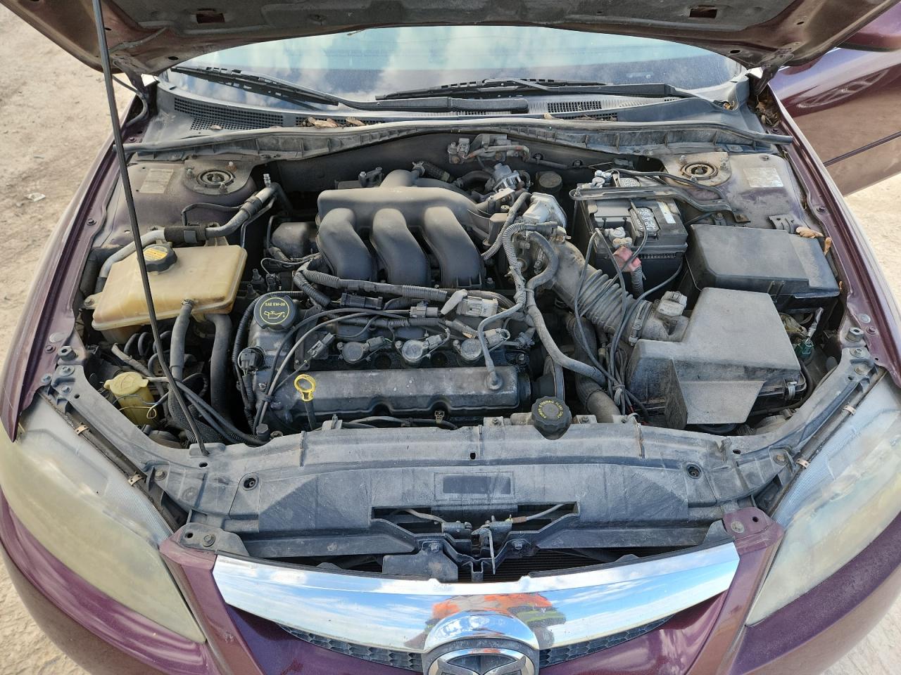 2006 Mazda 6 S VIN: 1YVHP80D165M33087 Lot: 81423915