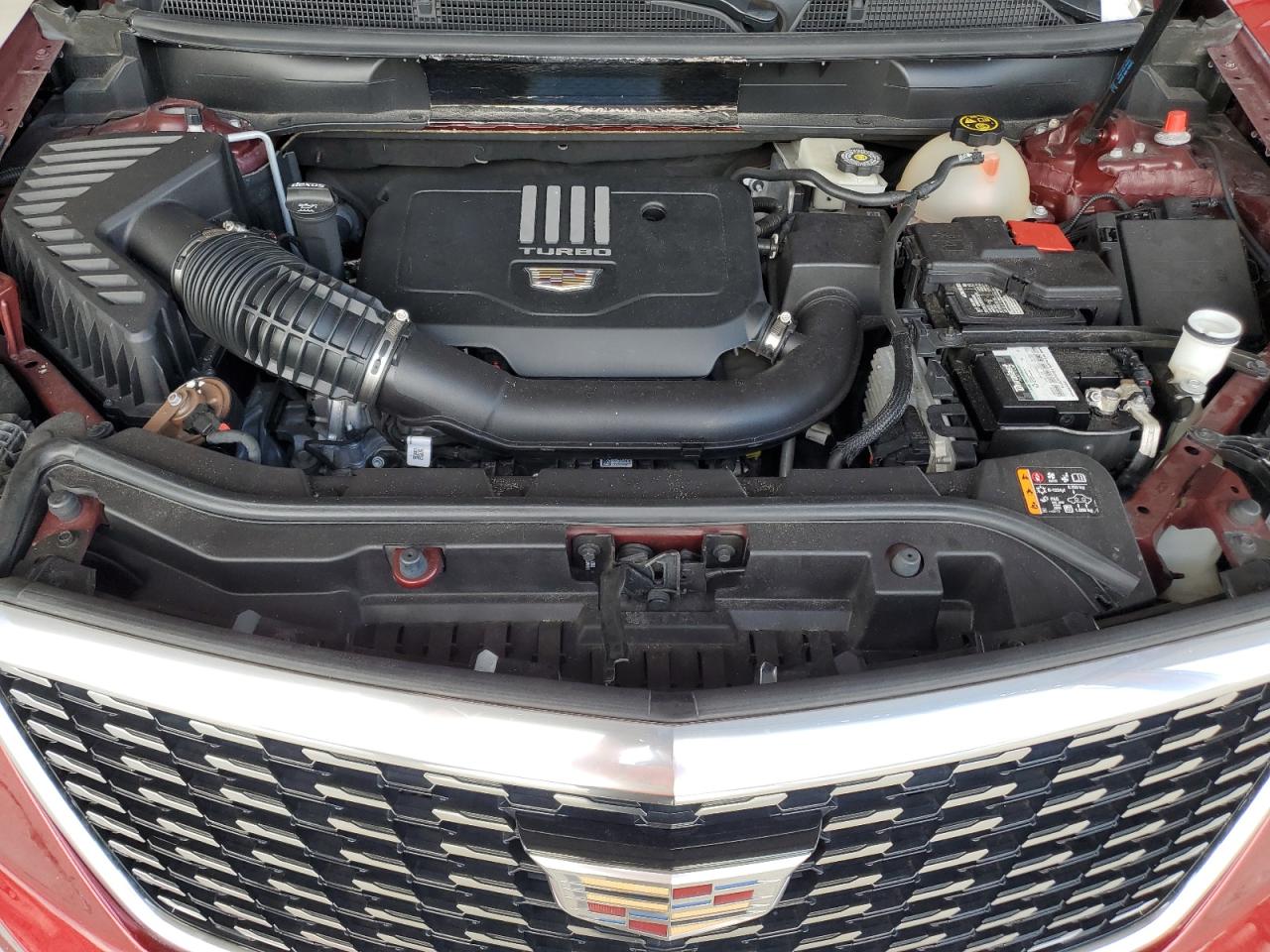 2021 Cadillac Xt5 Premium Luxury VIN: 1GYKNCR42MZ142699 Lot: 81197465