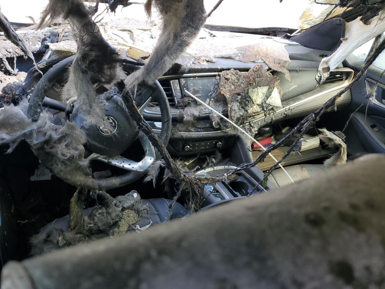 2023 Buick Enclave Avenir VIN: 5GAEVCKW5PJ167745 Lot: 81815885