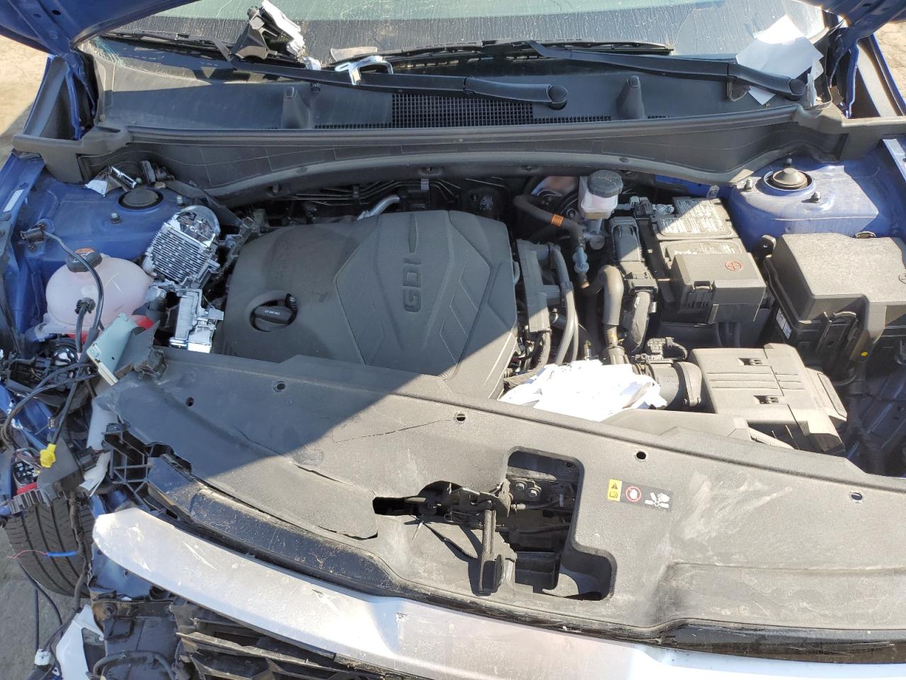 2024 Kia Sportage Ex VIN: 5XYK33DF2RG202734 Lot: 81012075