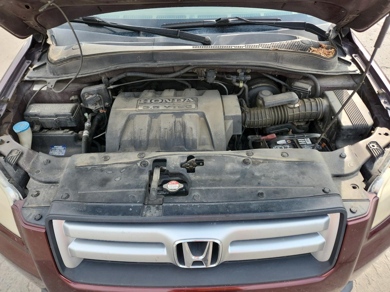 2007 Honda Pilot Exl VIN: 5FNYF18767B009600 Lot: 71366185