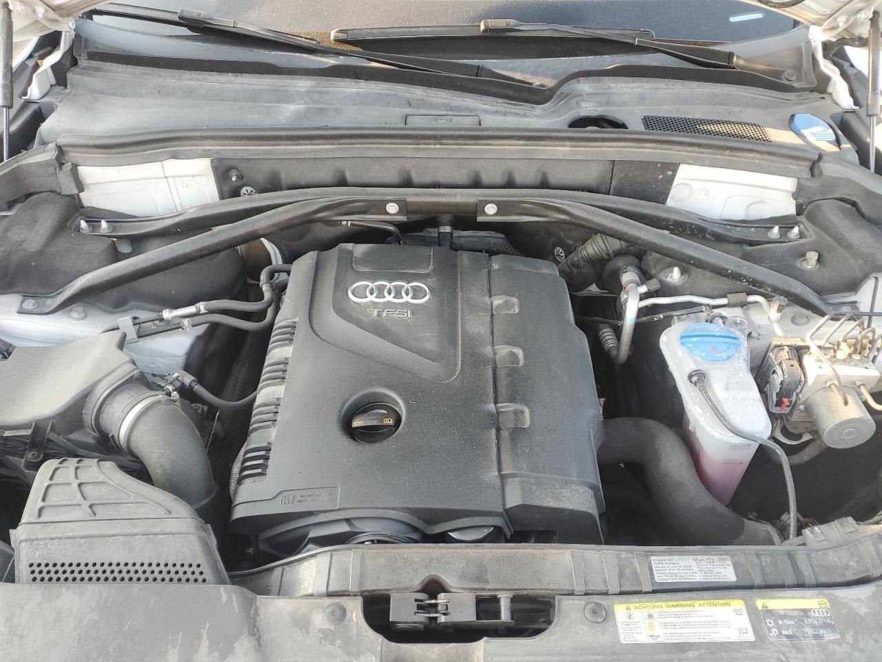 2013 Audi Q5 Premium Plus VIN: WA1LFAFP1DA072325 Lot: 81333845