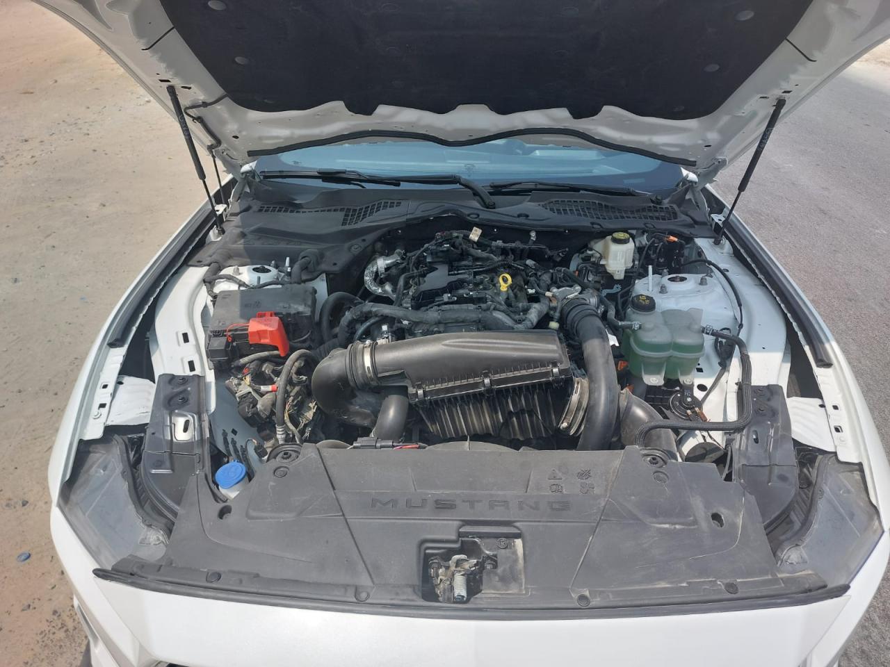 1FA6P8TH0R5106914 - 2024 Ford MUSTANG - #84179085