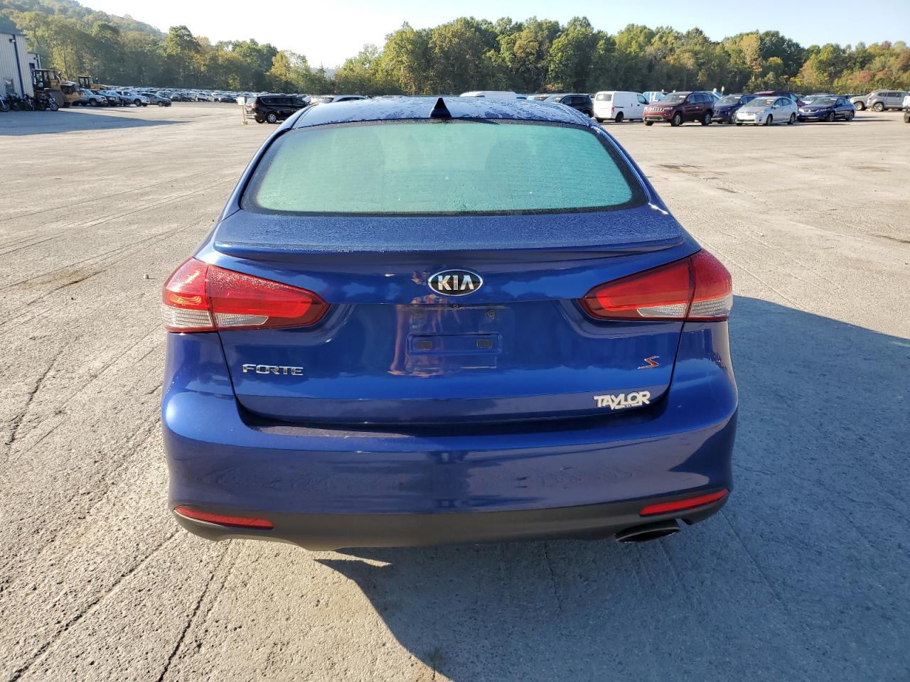 2017 Kia Forte Lx VIN: 3KPFL4A73HE020508 Lot: 80560535