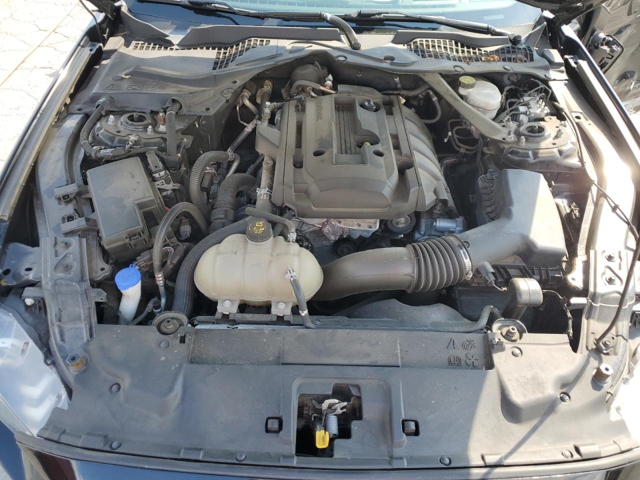 2020 Ford Mustang VIN: 1FATP8UH2L5138451 Lot: 80910295