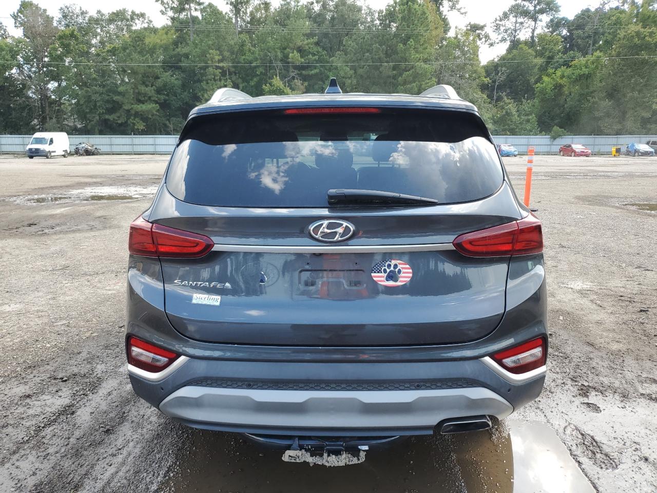2020 Hyundai Santa Fe Sel VIN: 5NMS33AD1LH248877 Lot: 80252725
