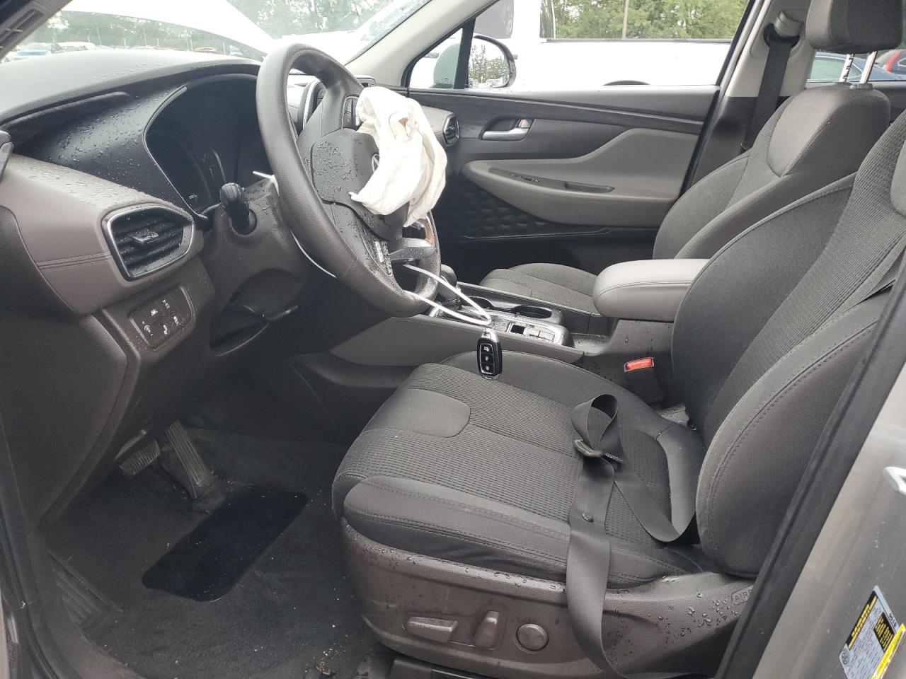 2020 Hyundai Santa Fe Sel VIN: 5NMS3CADXLH224335 Lot: 80791595