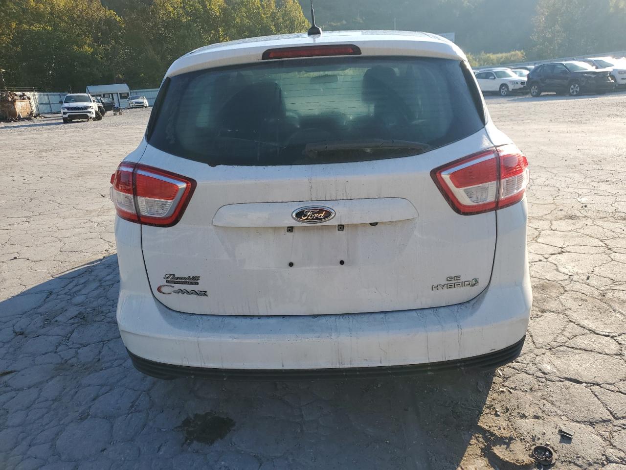 2017 Ford C-Max Se VIN: 1FADP5AU9HL109004 Lot: 81303585