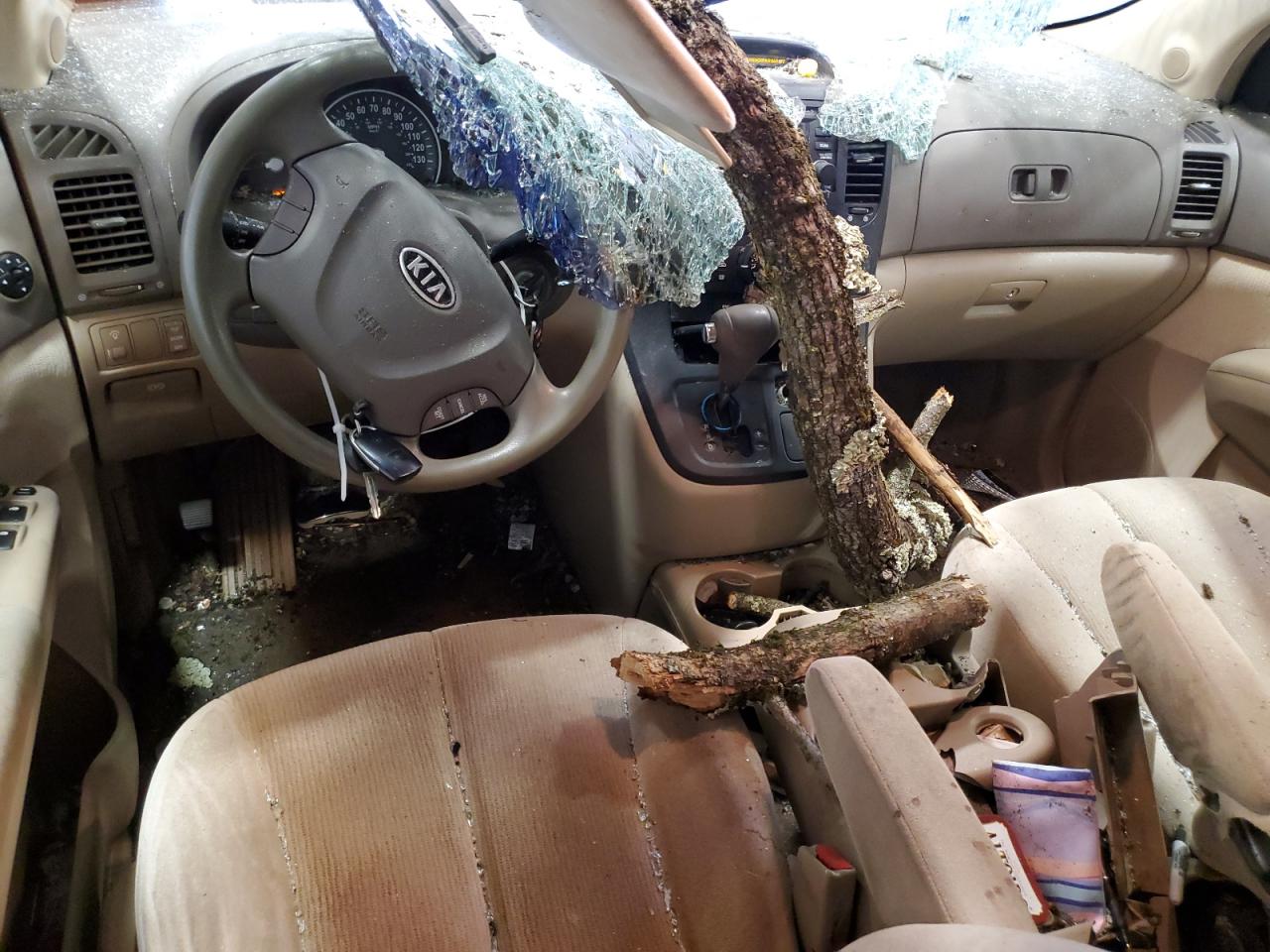 2007 Kia Sedona Ex VIN: KNDMB233276180697 Lot: 84570225