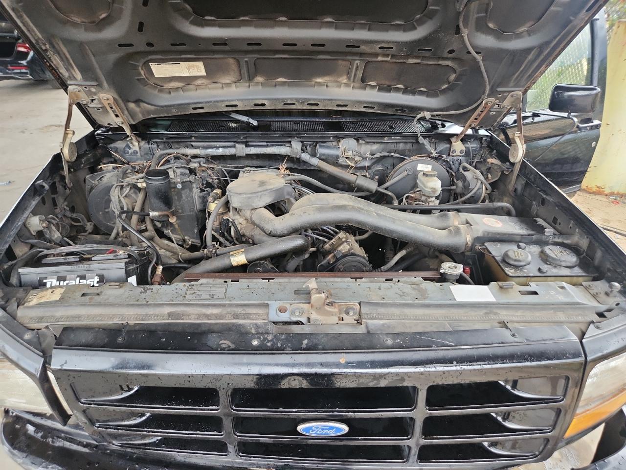 1992 Ford F150 VIN: 1FTEF14N4NLA40801 Lot: 84423975