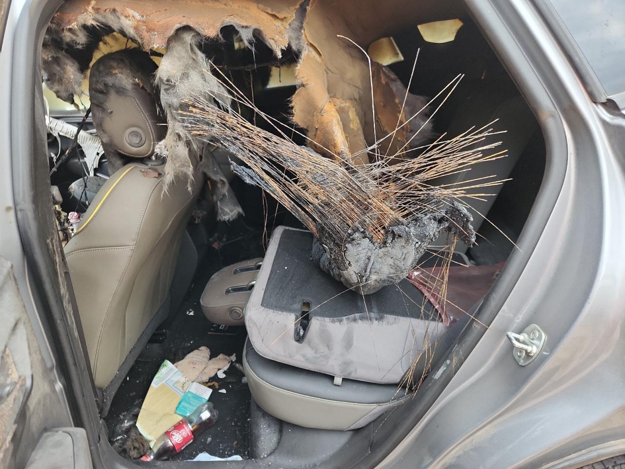 2025 Chevrolet Trax Activ VIN: KL77LKEP8SC124300 Lot: 84442185