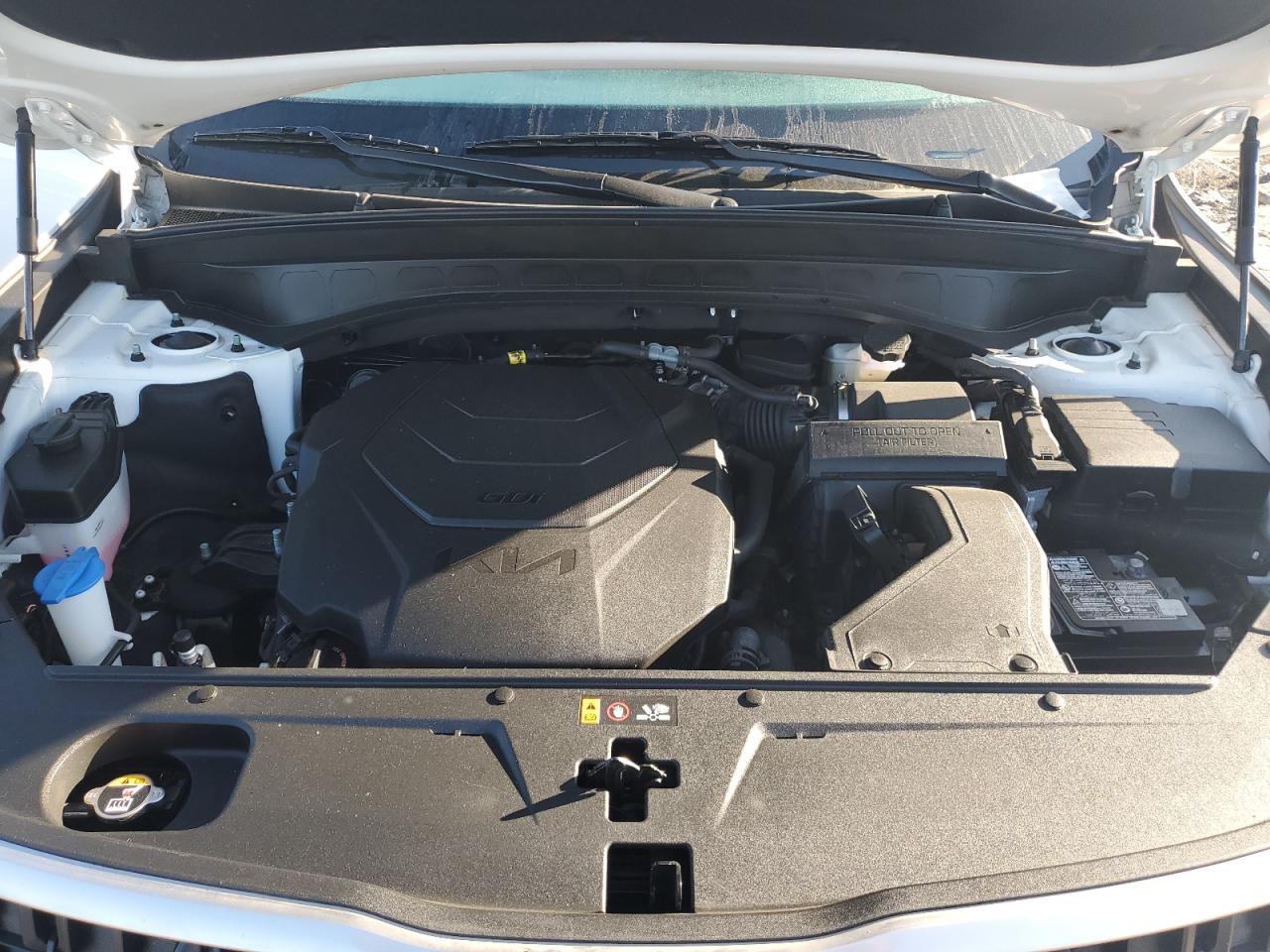 2023 Kia Telluride Ex VIN: 5XYP34GC6PG370368 Lot: 84037655