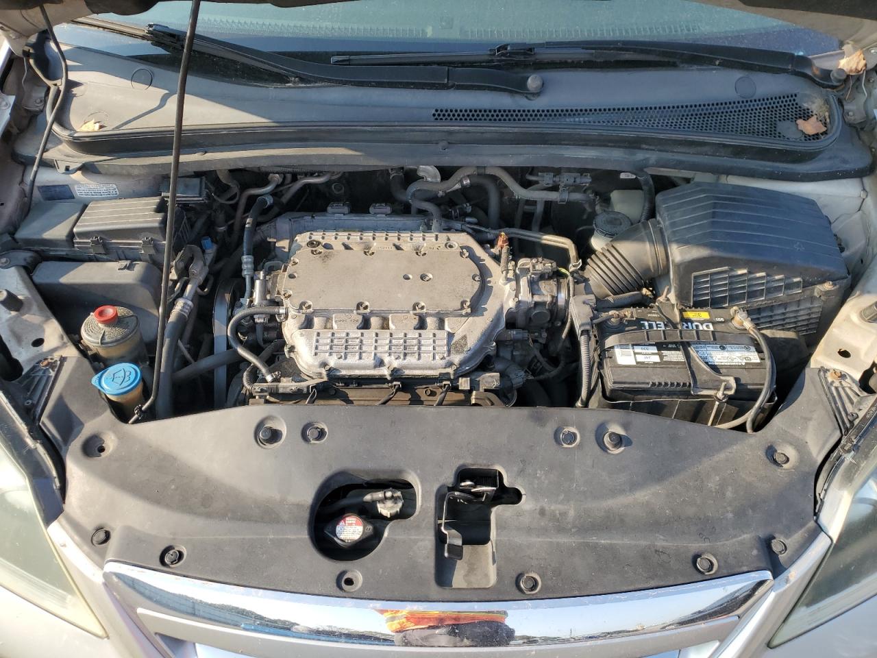 2006 Honda Odyssey Exl VIN: 5FNRL38766B031300 Lot: 80302365