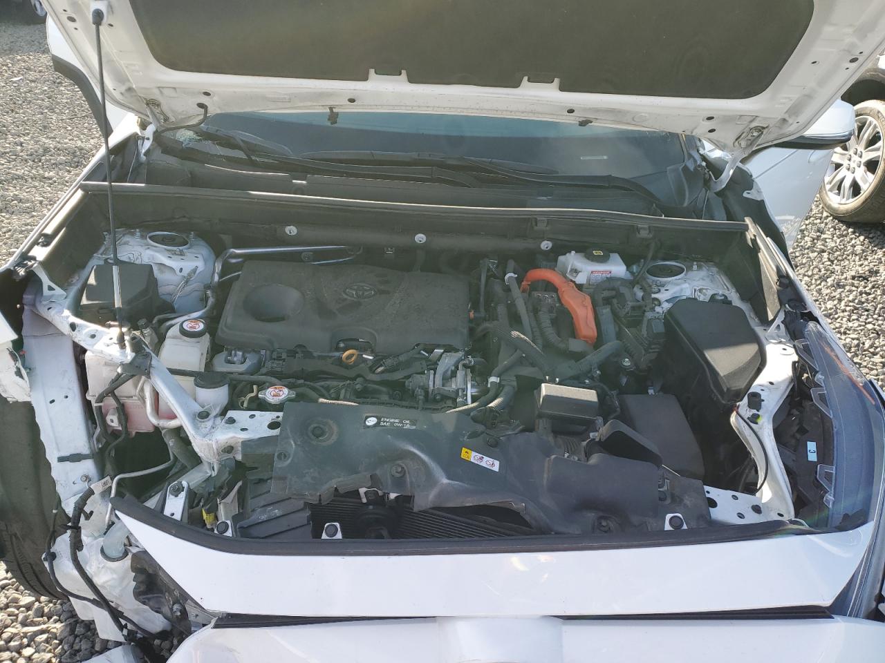 2021 Toyota Rav4 Xle VIN: 4T3RWRFV4MU037096 Lot: 71605375