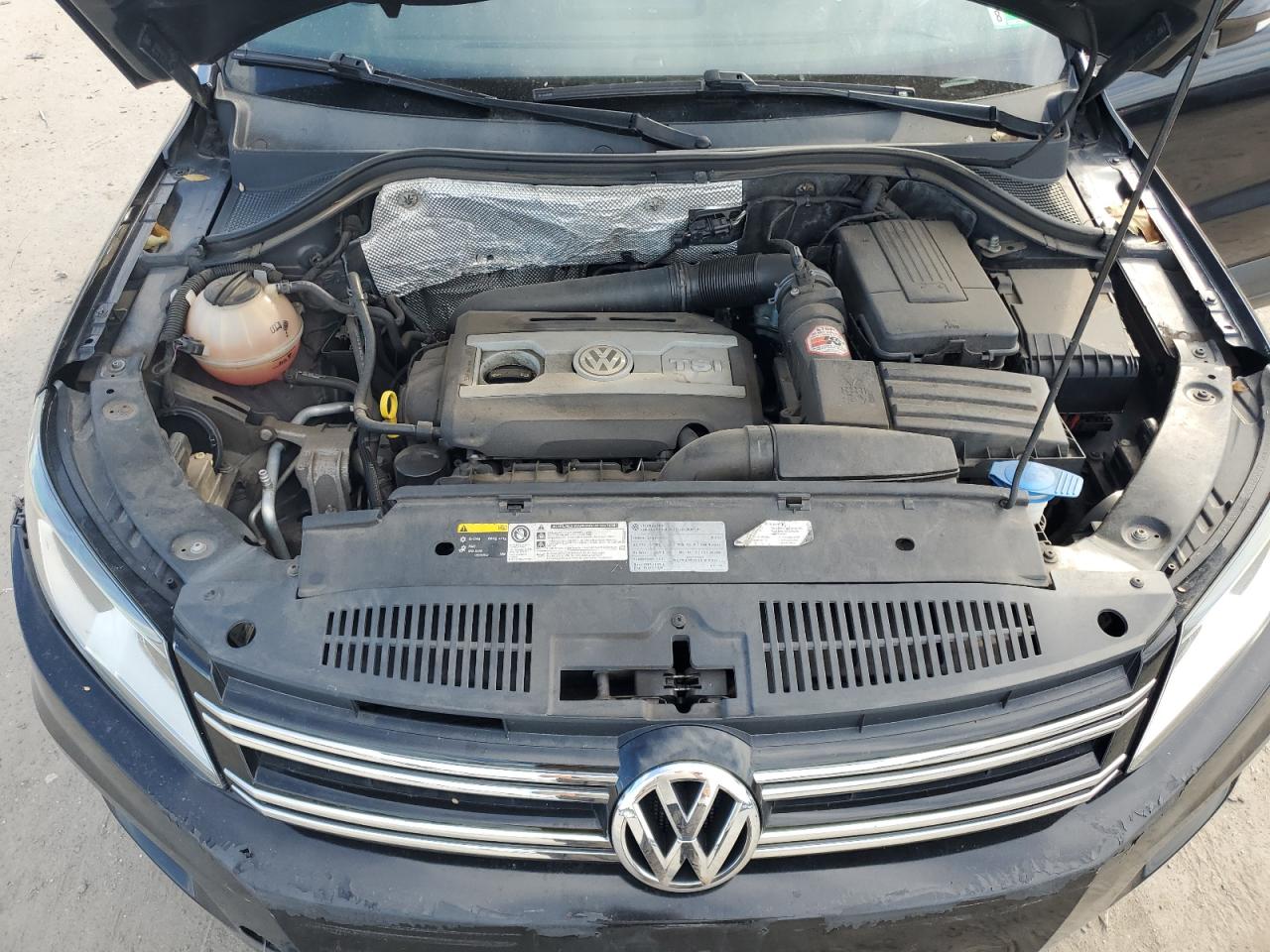 2016 Volkswagen Tiguan S VIN: WVGAV7AX8GW003953 Lot: 84182915