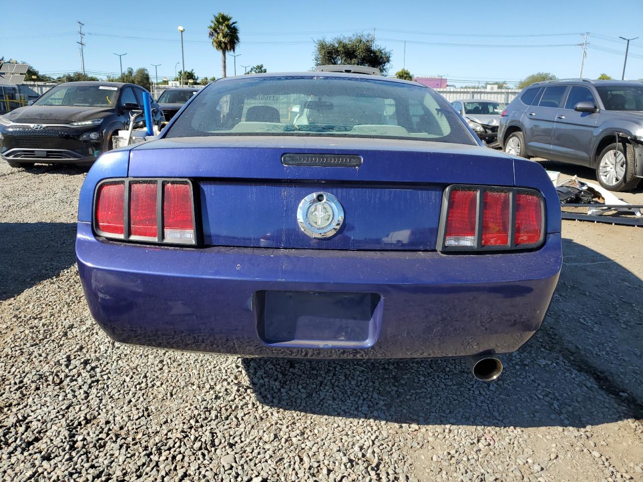 2008 Ford Mustang VIN: 1ZVHT80N585148564 Lot: 71557375