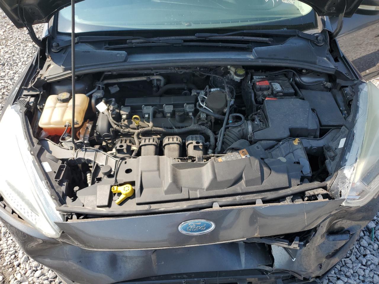 2015 Ford Focus Se VIN: 1FADP3F20FL273220 Lot: 81348845