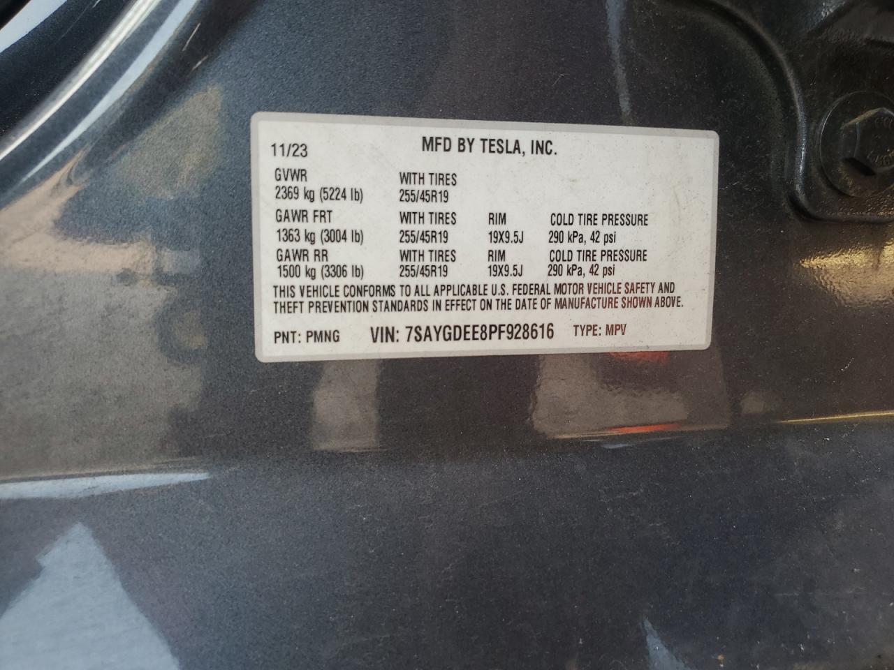 2023 Tesla Model Y VIN: 7SAYGDEE8PF928616 Lot: 81462345