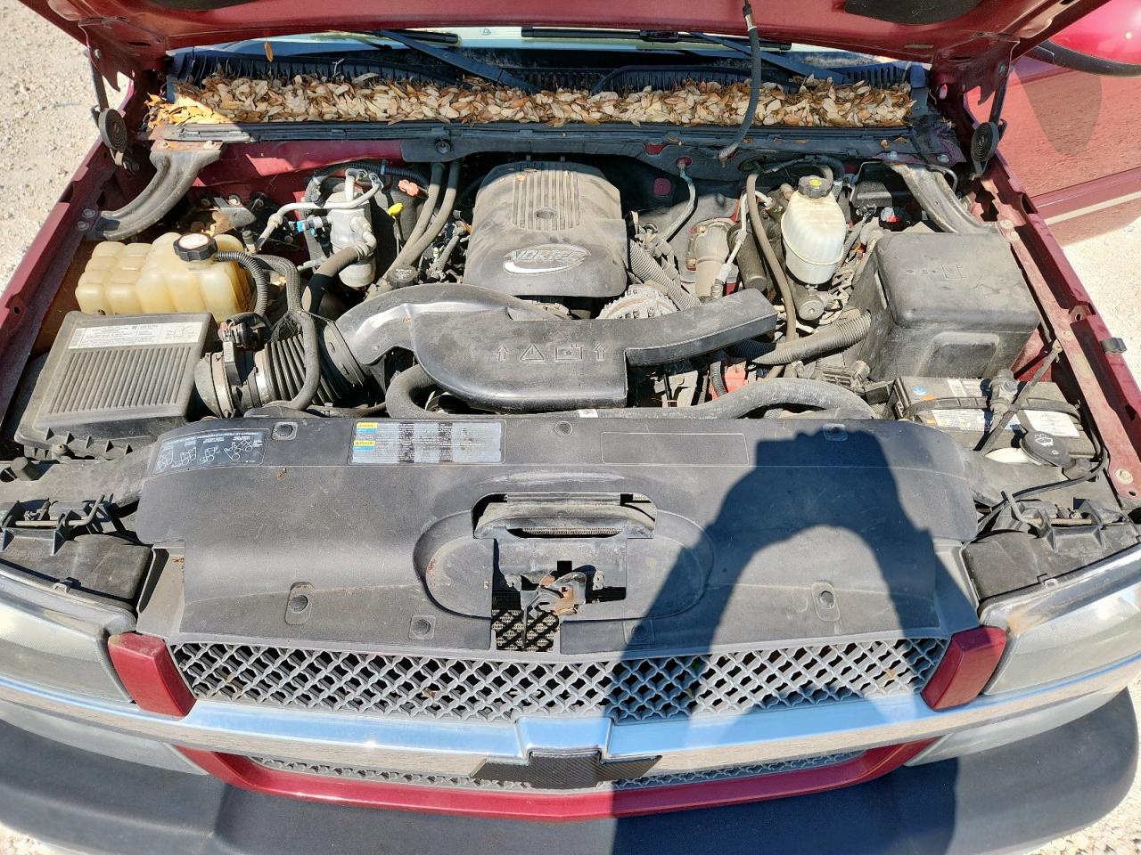 2005 Chevrolet Avalanche K1500 VIN: 3GNEK12T75G171769 Lot: 81482565