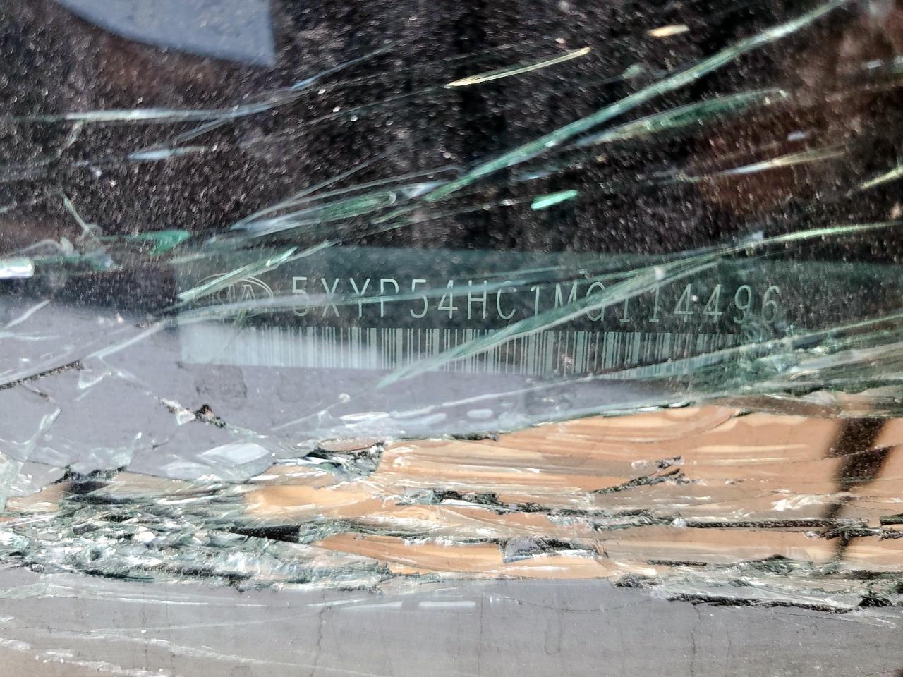 2021 Kia Telluride Sx VIN: 5XYP54HC1MG114496 Lot: 81195685