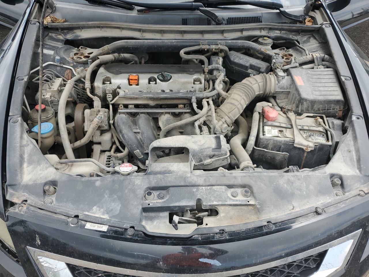 2010 Honda Accord Exl VIN: 1HGCS1B86AA005037 Lot: 81513425