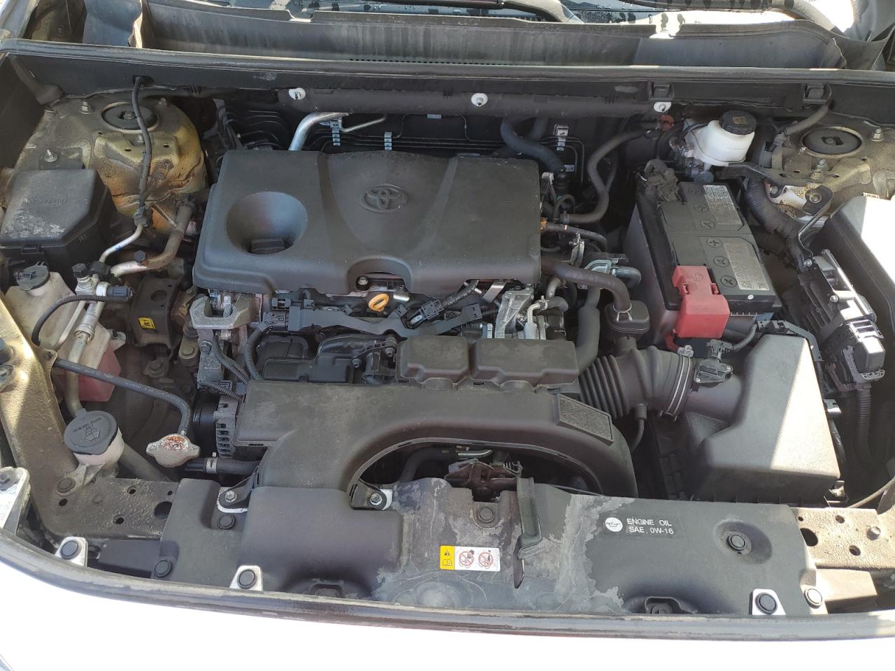 2021 Toyota Rav4 Xle VIN: 2T3R1RFV8MC196770 Lot: 71196565