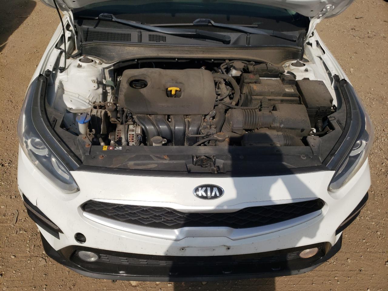 2019 Kia Forte Fe VIN: 3KPF24AD4KE044767 Lot: 80165075